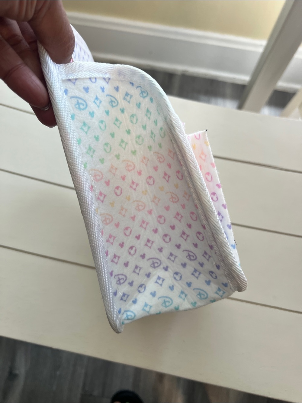 Disney Bag Organizer - Picture 5 of 5